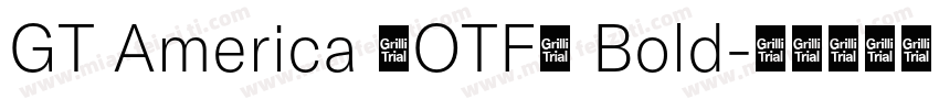 GT America (OTF) Bold字体转换